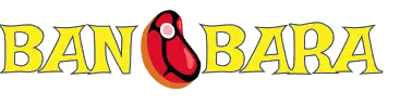 Bangbara Logo